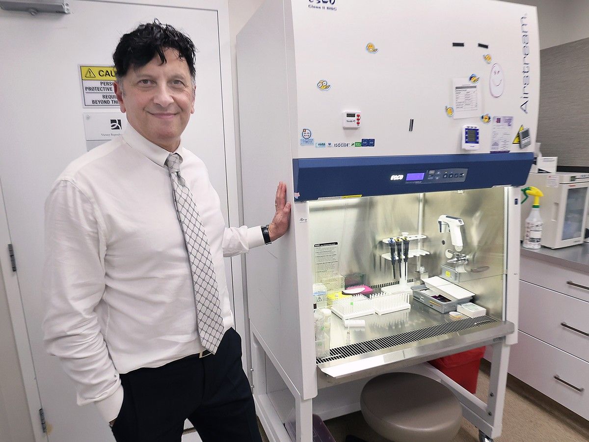'Outrageous' egg-freezing costs force some women to take drastic steps ...
