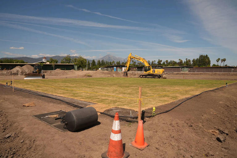 Knight Riders Cricket Ground is not just MLC's growth but rise of ...