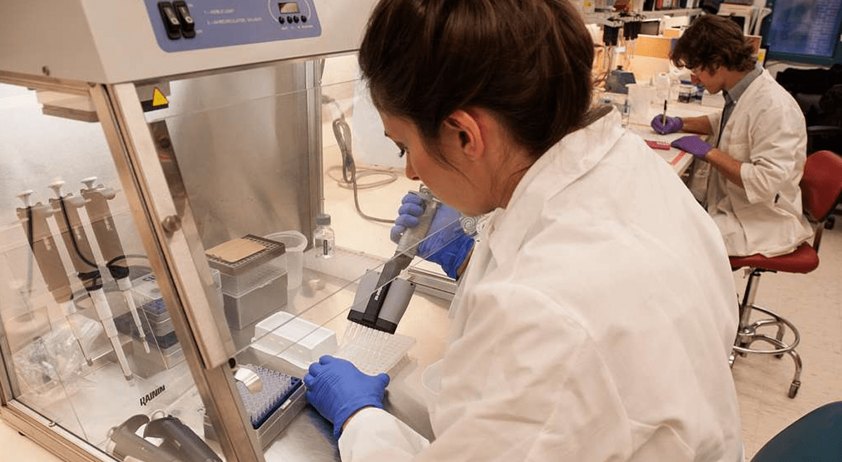 Nexentis shares swing after subsidiary reaches drug discovery research ...