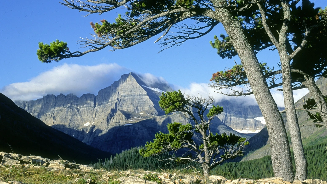9 Stunning Montana Destinations for Your Next Road Trip