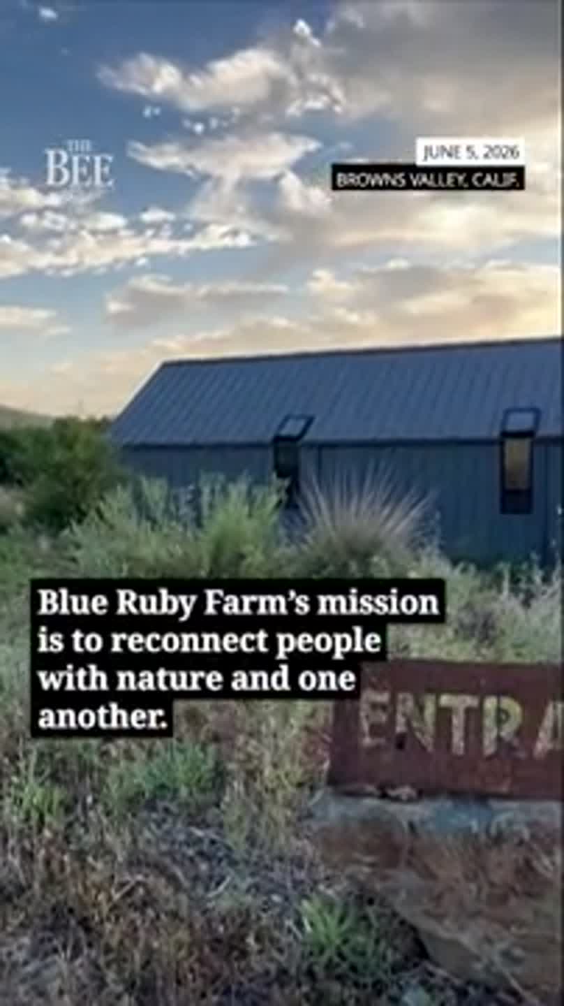 Check out Blue Ruby Farm, where guests can reconnect to nature