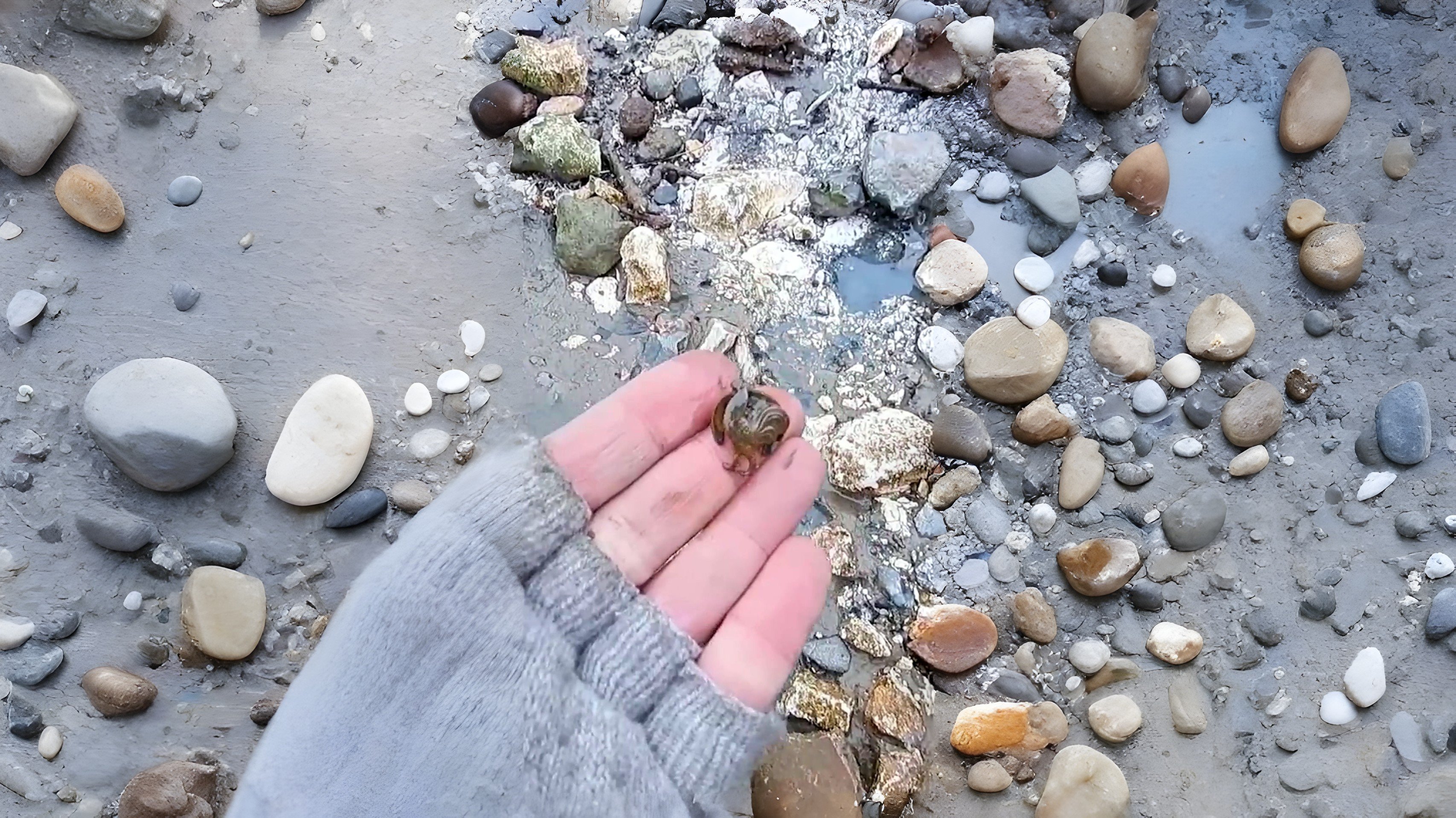A curious Thames mudlark find