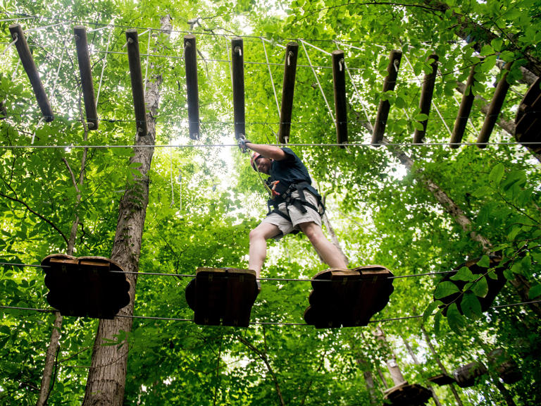 See why Navitat Knoxville is among the best aerial adventure parks in US