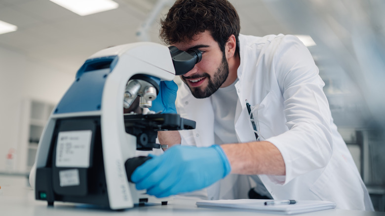 This new scientific breakthrough could lead to magnets without any rare ...