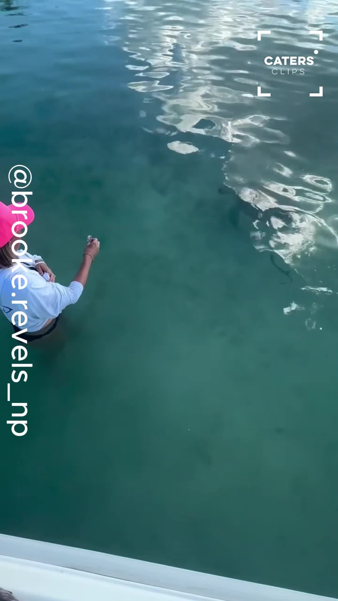 A simple turtle feeding session takes an unexpected turn