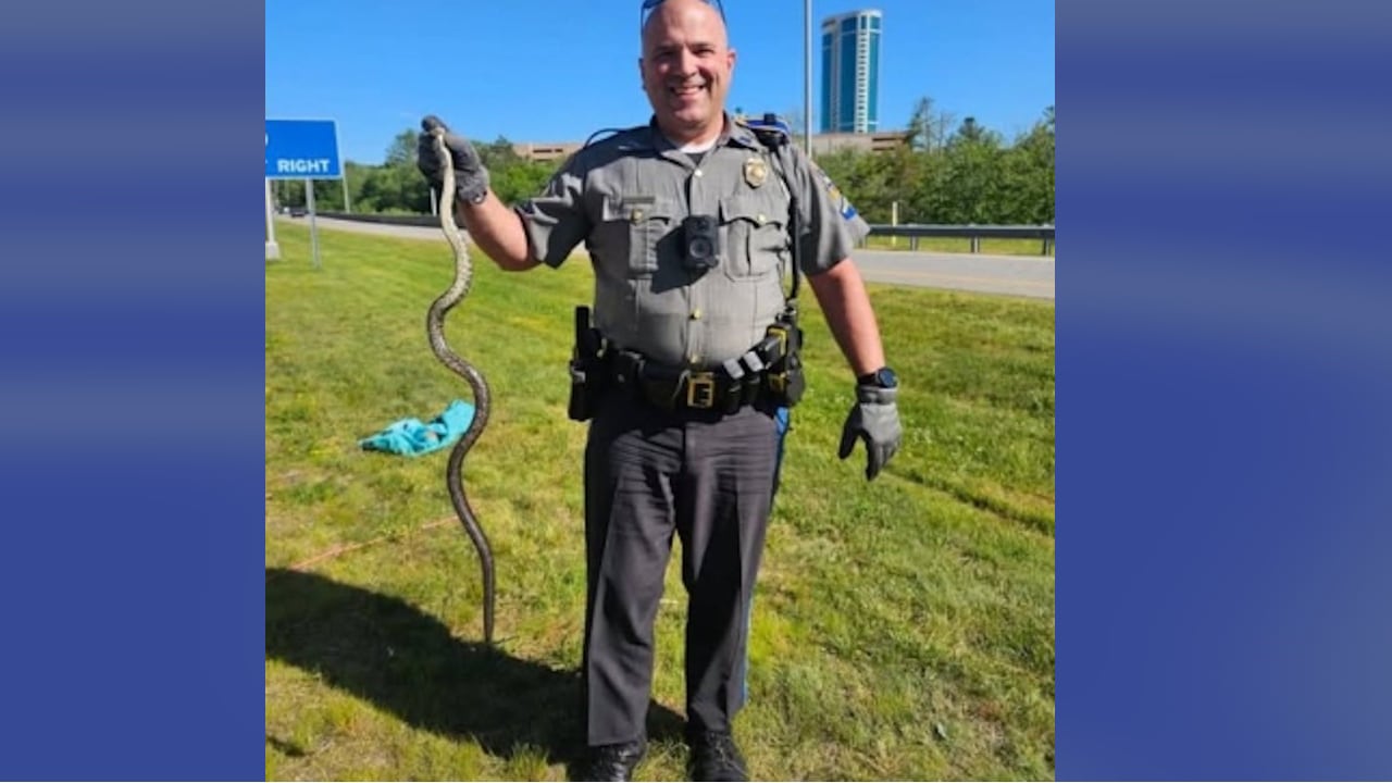 State trooper removes snake from trunk of vehicle
