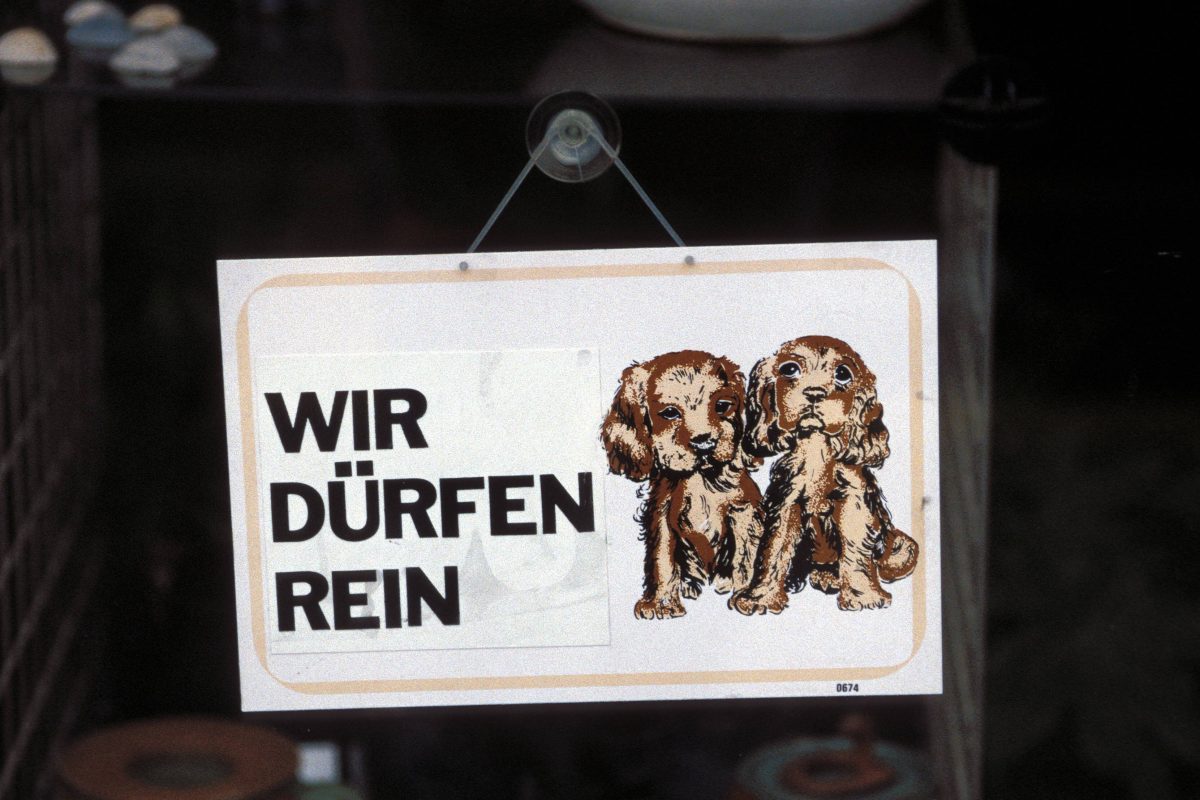 Taxi Hunde Mitnehmen