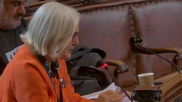 Council votes to undeclare climate emergency