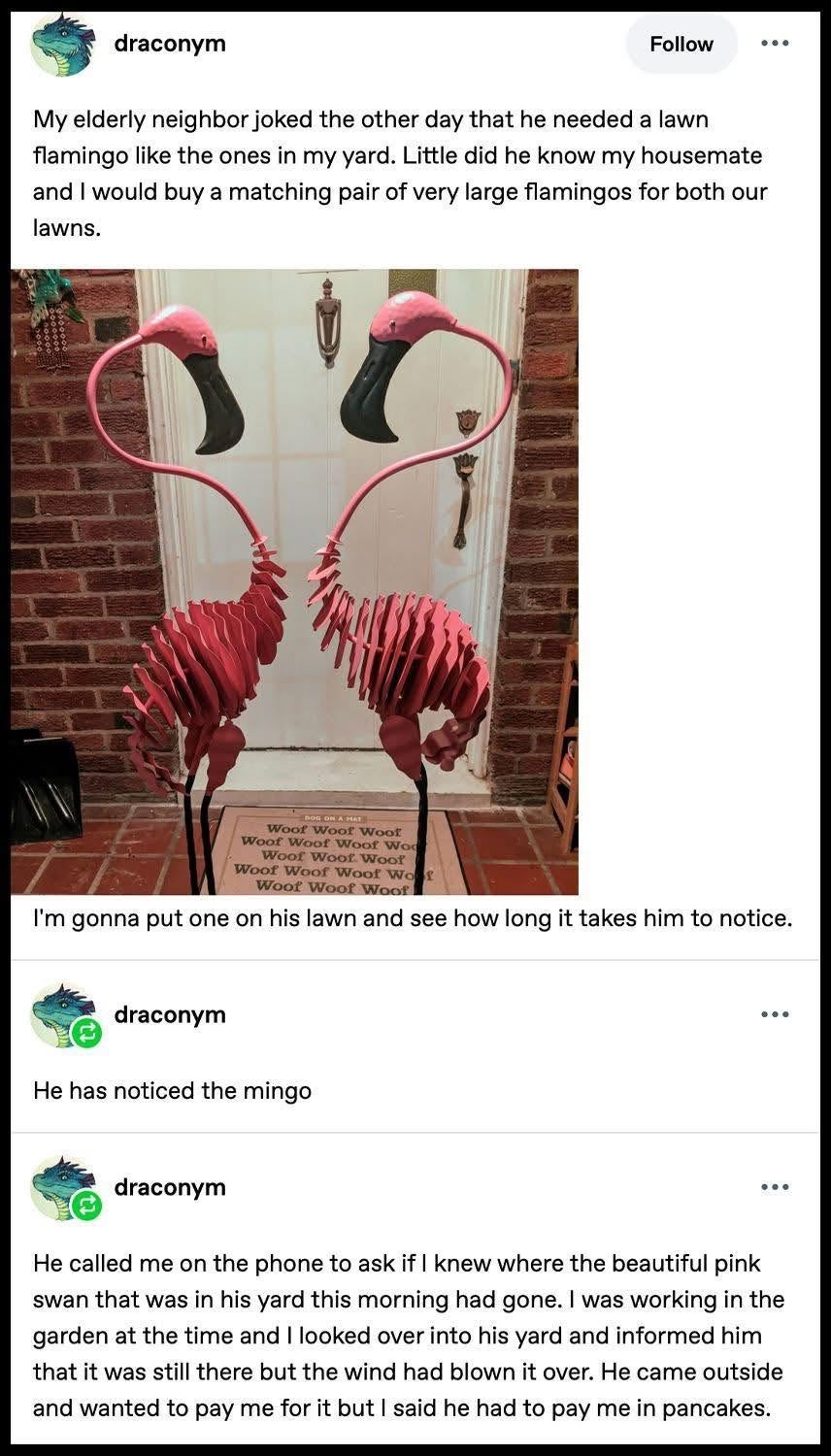 A humorous social media post about placing pink flamingo lawn ornaments in a neighbor's yard and the neighbor eventually noticing them