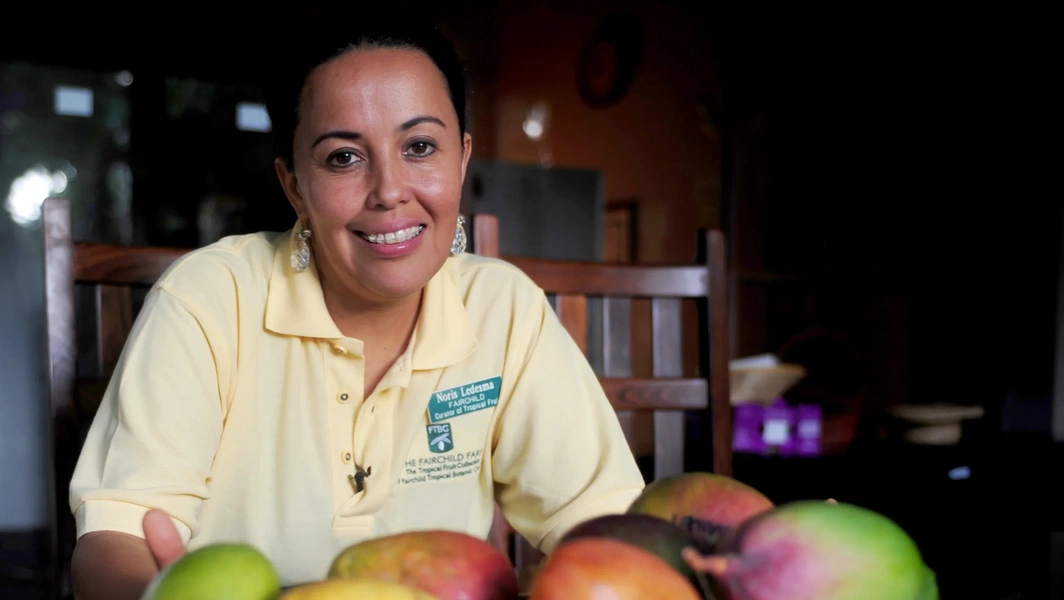 mango-season-inspires-global-recipes-and-local-traditions