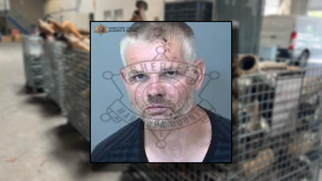 Cops nab fleeing suspect in Mesa traffic stop that uncovered 14 stolen ...