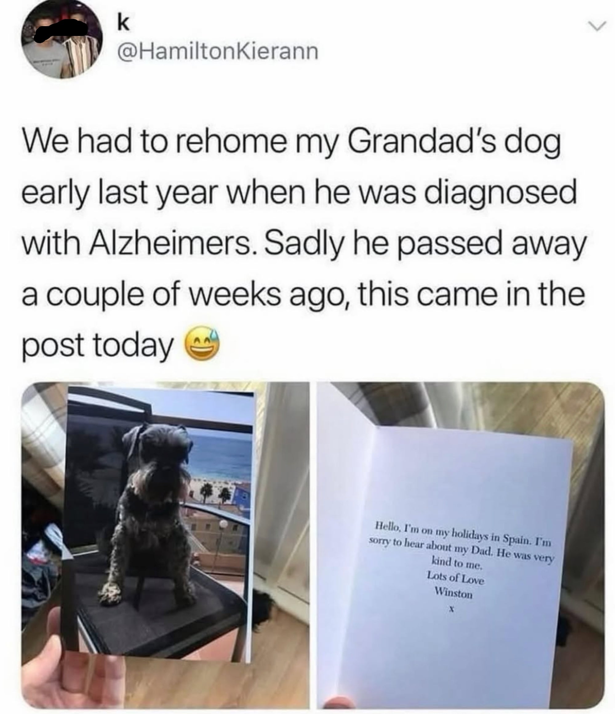 Tweet about rehoming a dog due to a grandfather's Alzheimer's; dog sent a postcard saying