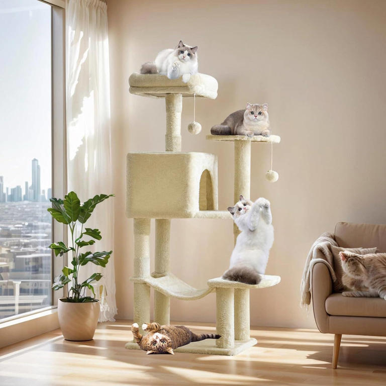Amazon's playful interactive cat tree is 40% off — and it comes in the ...