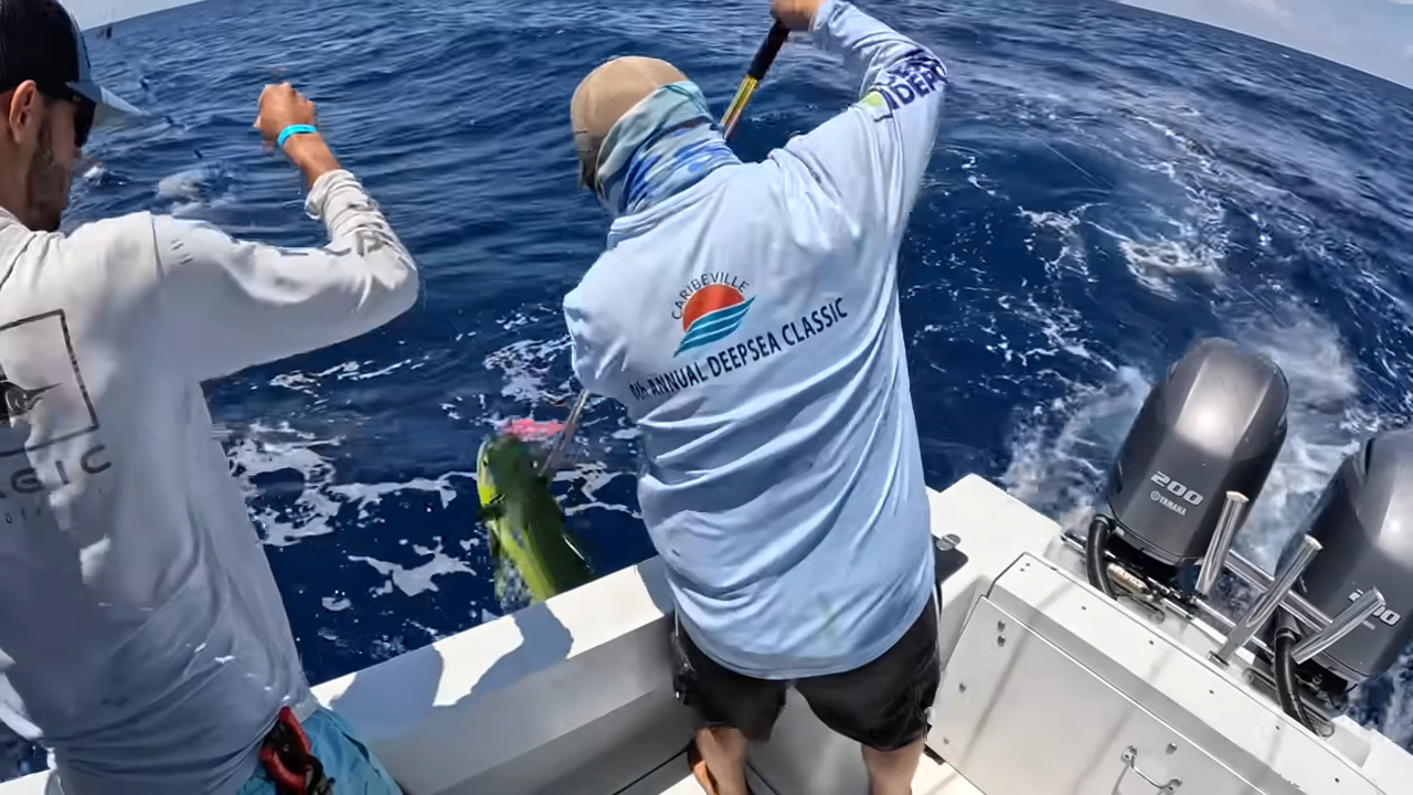 A $100,000 fish was somewhere below them... then a rod folded over