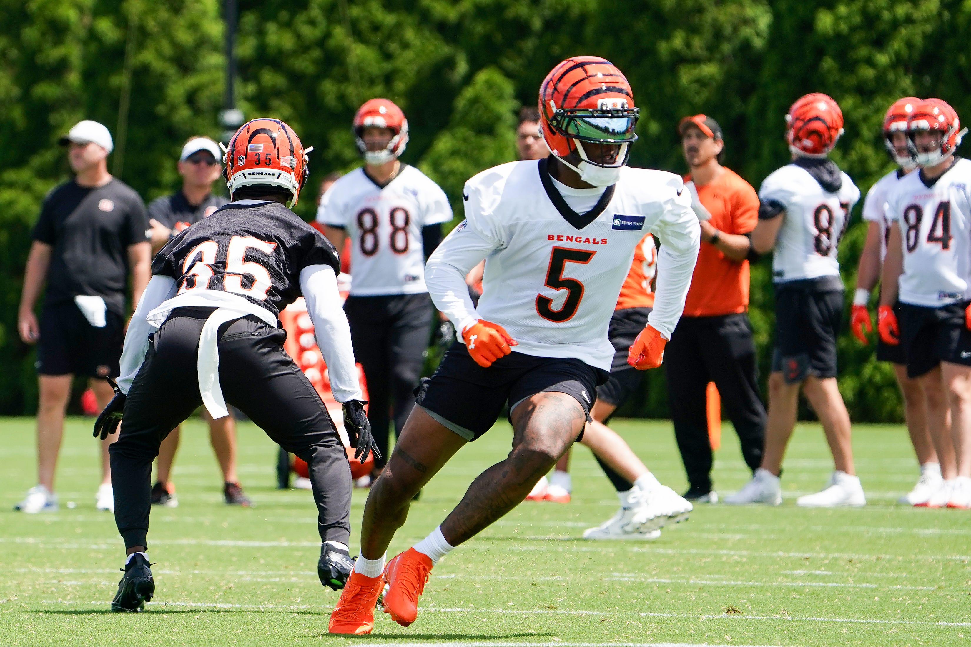 Bengals' fan favorite enters Savannah Bananas' game as pinch runner