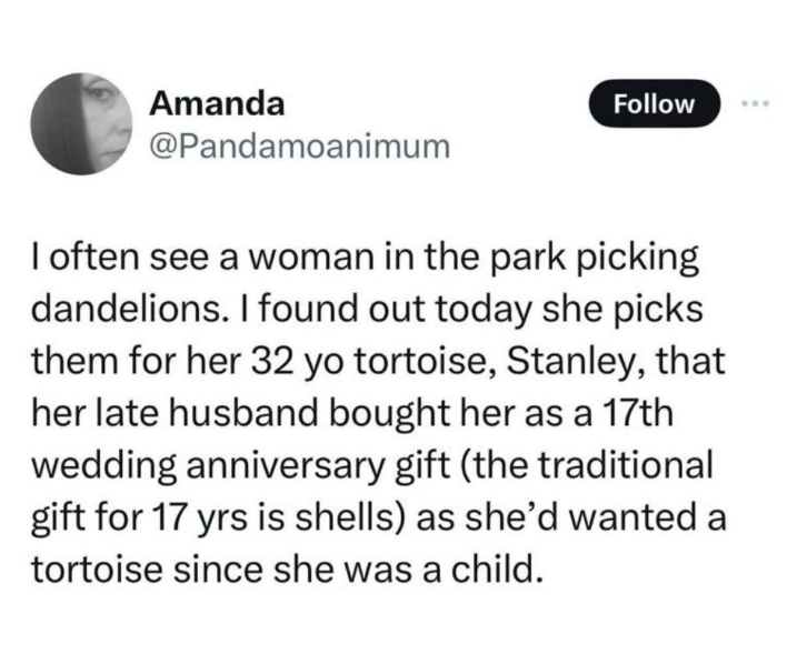 A woman picks dandelions for her 32-year-old tortoise, Stanley, a gift from her late husband, aligning with the traditional 17th-anniversary gift