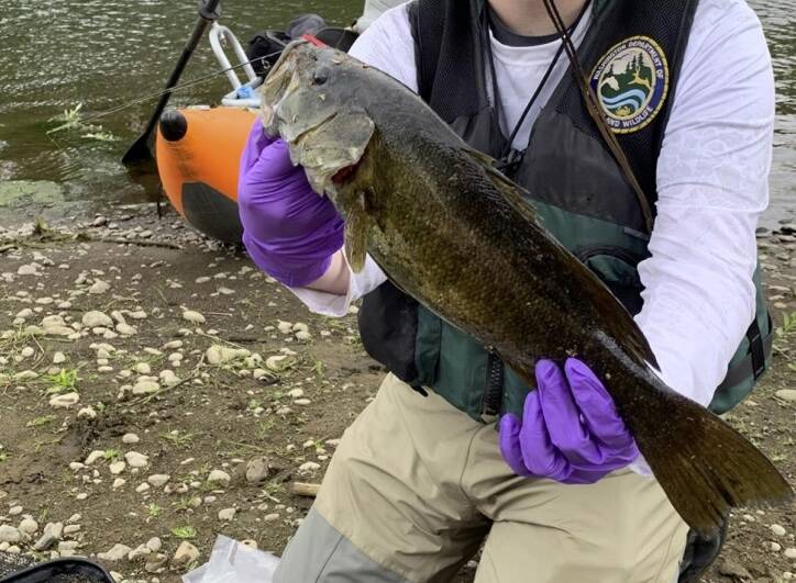 Washington Fish and Wildlife Commission met in Olympia