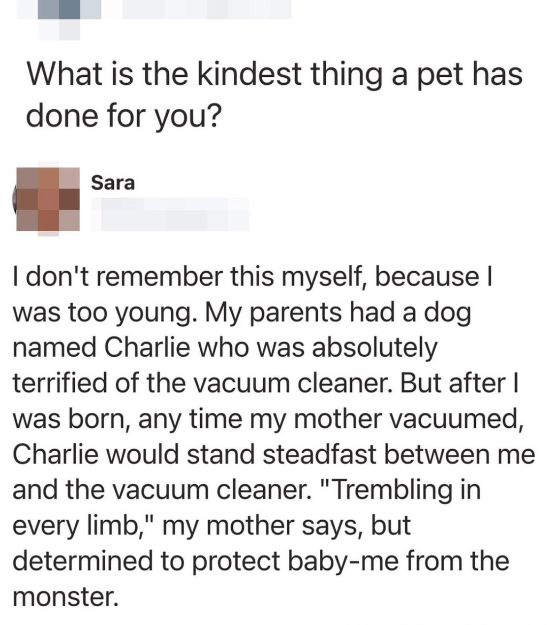 A person shares how their dog Charlie stood between them and a vacuum when they were a baby, protecting them despite being scared