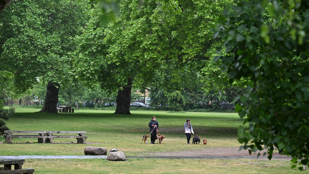 Health Benefits And Risks Of Pet Ownership Photo Inspiration