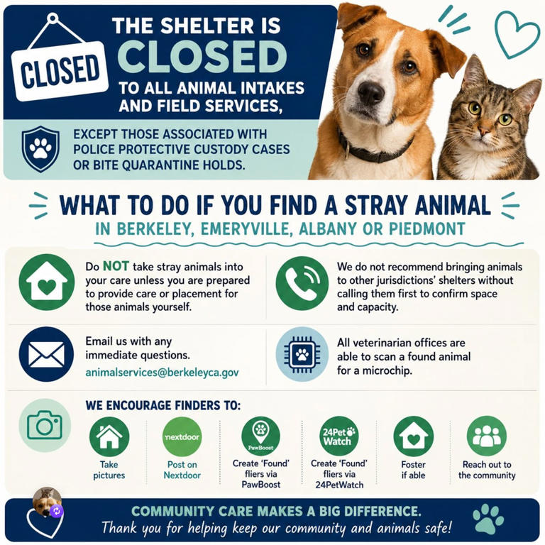 Berkeley Animal Shelter targets July 6 reopening after fire