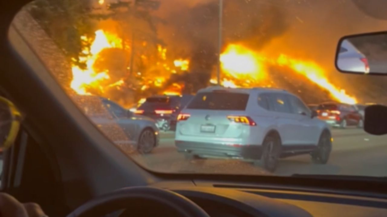 A terrifying glimpse of the forest fire on a road side from a car accident
