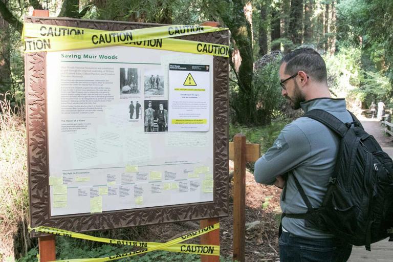 Muir Woods sign fight enters new chapter as Trump appeals ruling