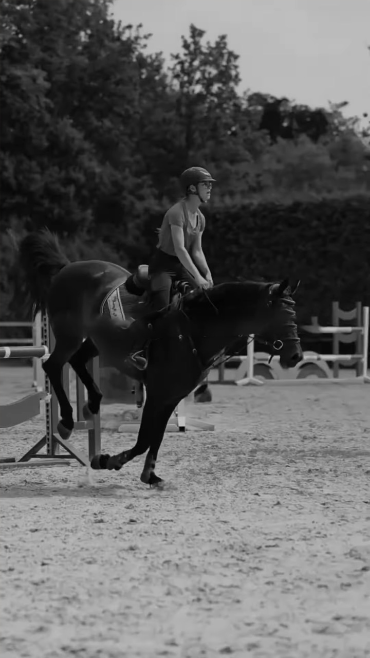 Paardrijtraining en het springen over hindernissen met een paard