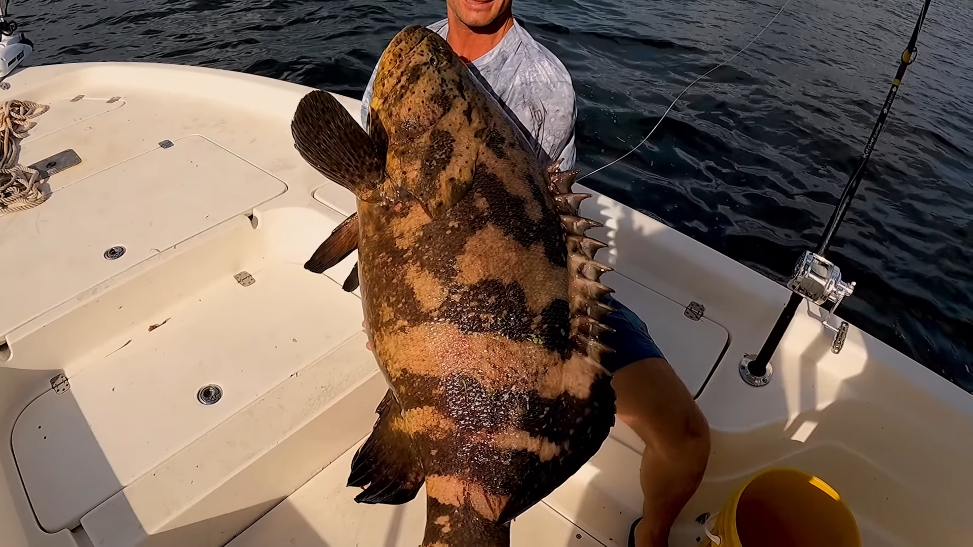 He caught the ocean’s most feared predator by accident