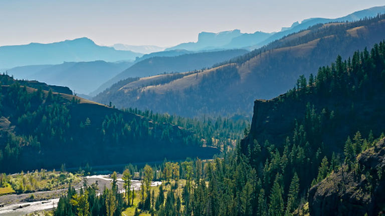 Forget Redwood National Park — experience these 9 lesser-known forest ...
