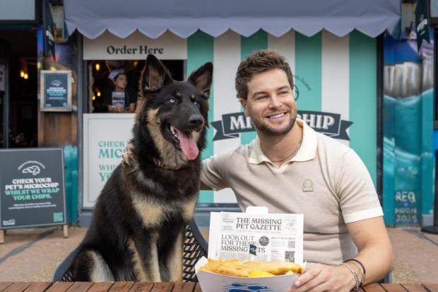 Chip shop campaign helps raise awareness of missing pets