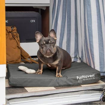 A French bulldog sits on a FurHaven pet bed with a chew toy nearby, placed in a cozy nook beside a bag and a curtain