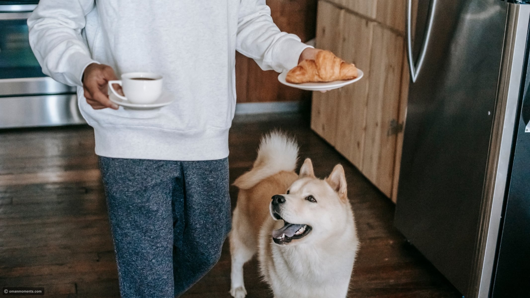 10 reasons why random dogs like you
