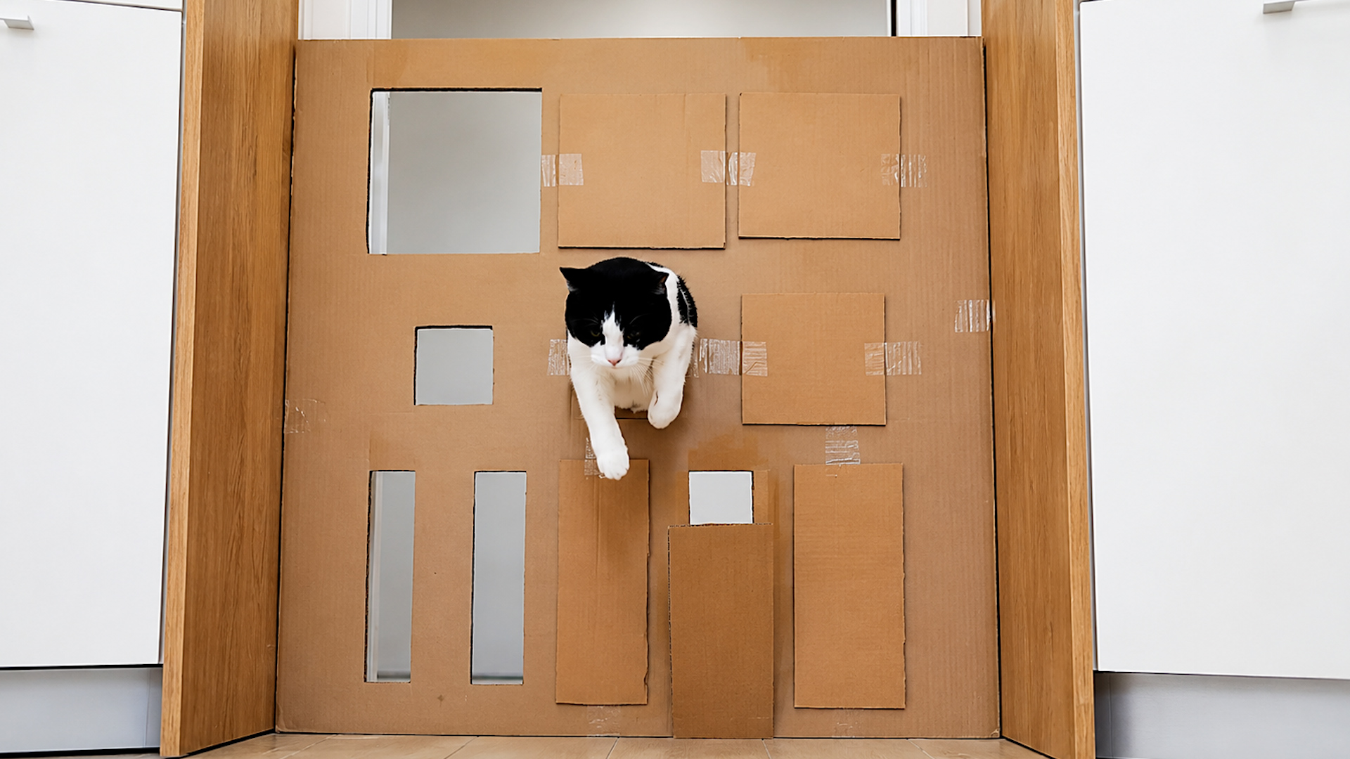 Can this cat pass through every hole in the wall?