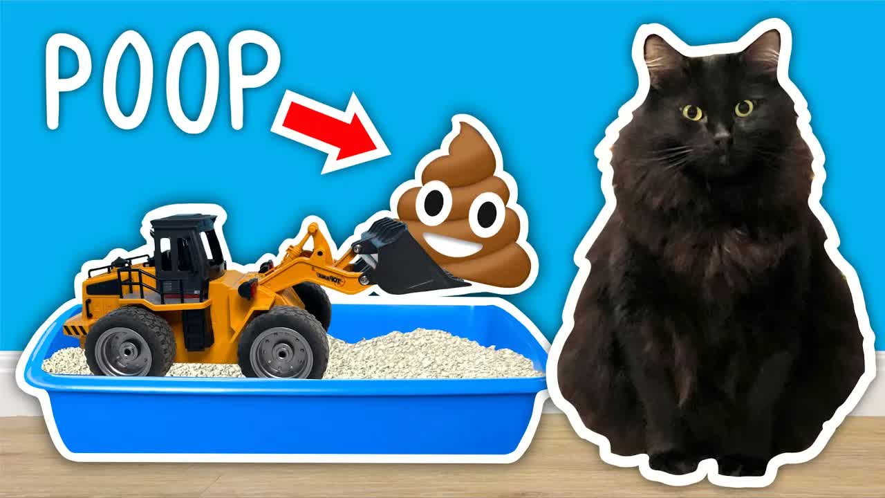 Can a homemade machine solve the worst part of cat ownership?