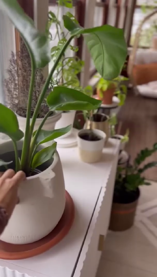 This beautiful sunroom could become your favorite space