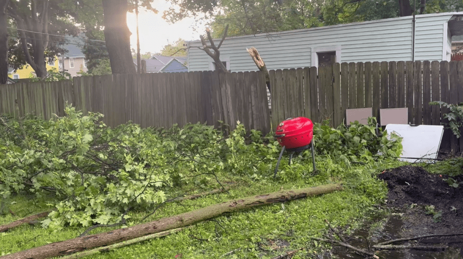 Tree falls onto power line on Benton St. amid high wind & rain