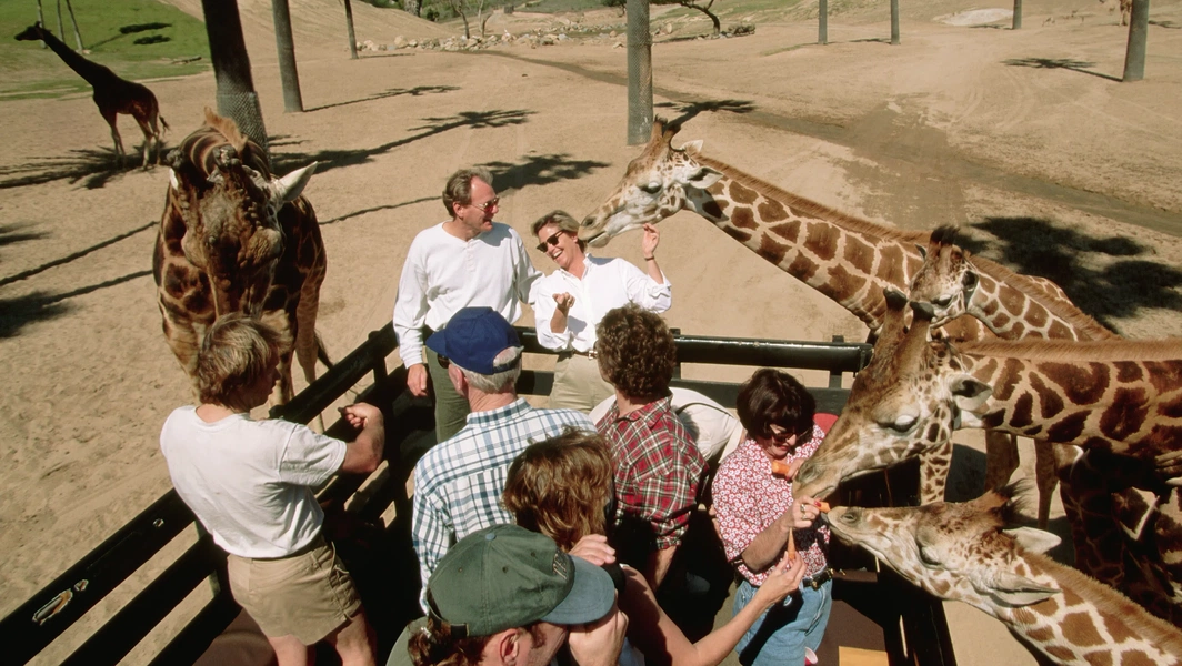 Five Must-Visit Drive-Through Safari Parks in America