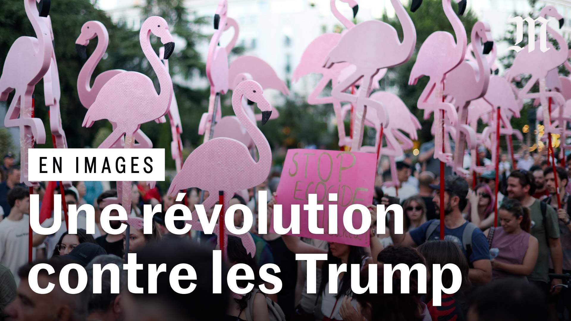 Qu'est-ce que la « révolution des flamants roses », née en Albanie ...