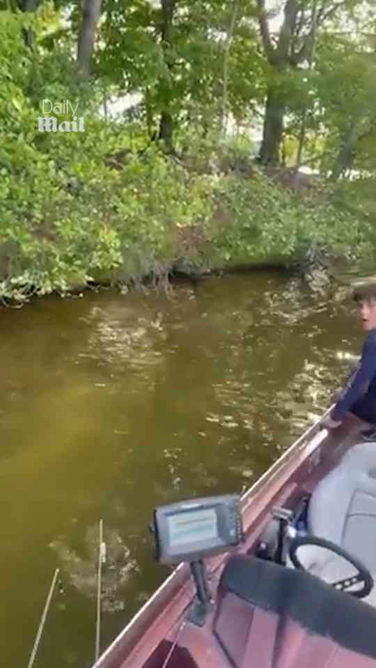 Two stranded fawns swim toward rescuers for help