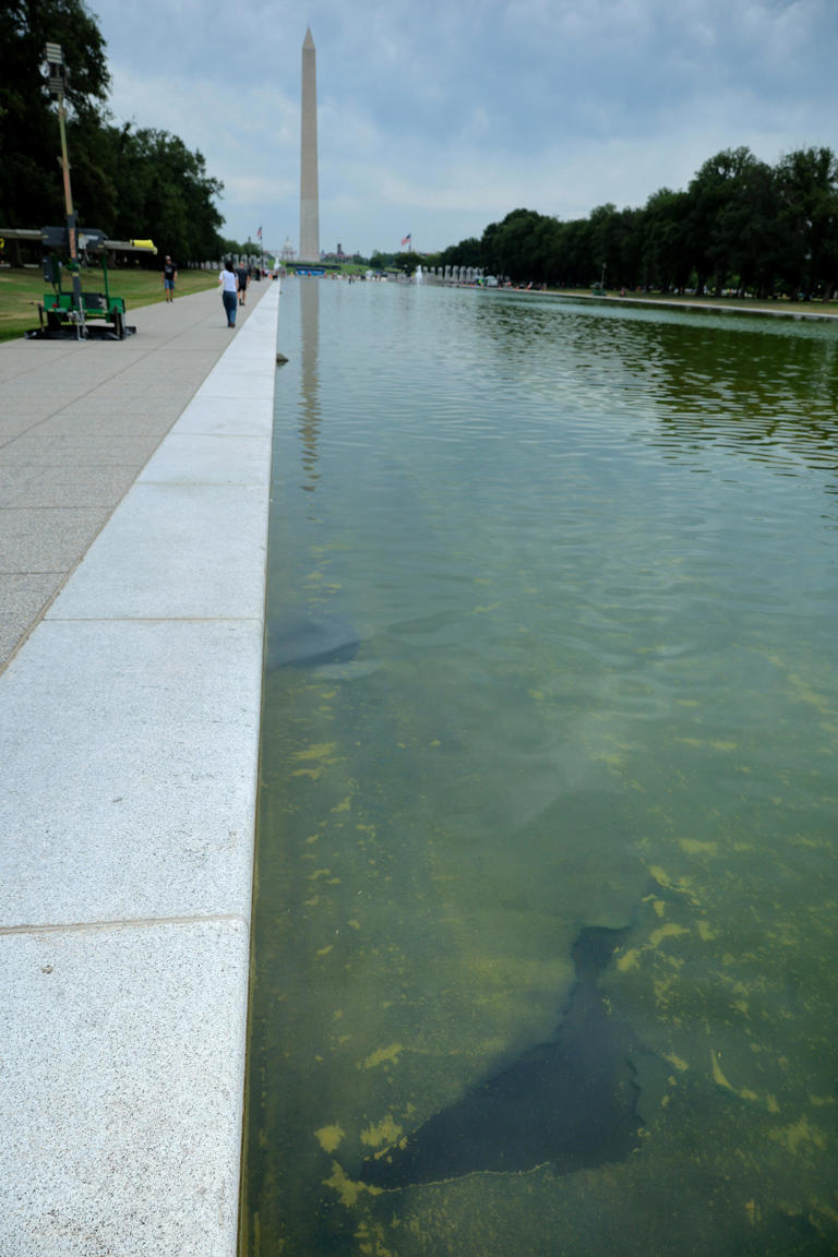 Reflecting Pool drained again after Trump renovations. See timeline