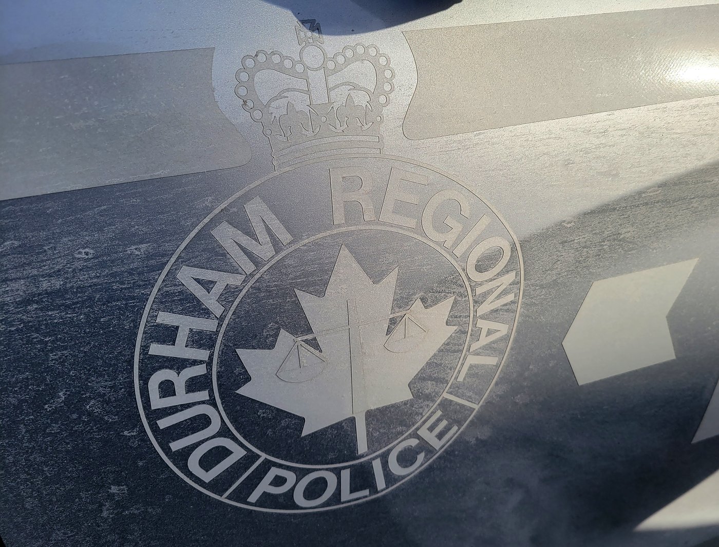 Child struck by falling tree in Oshawa, Ont., seriously injured: police