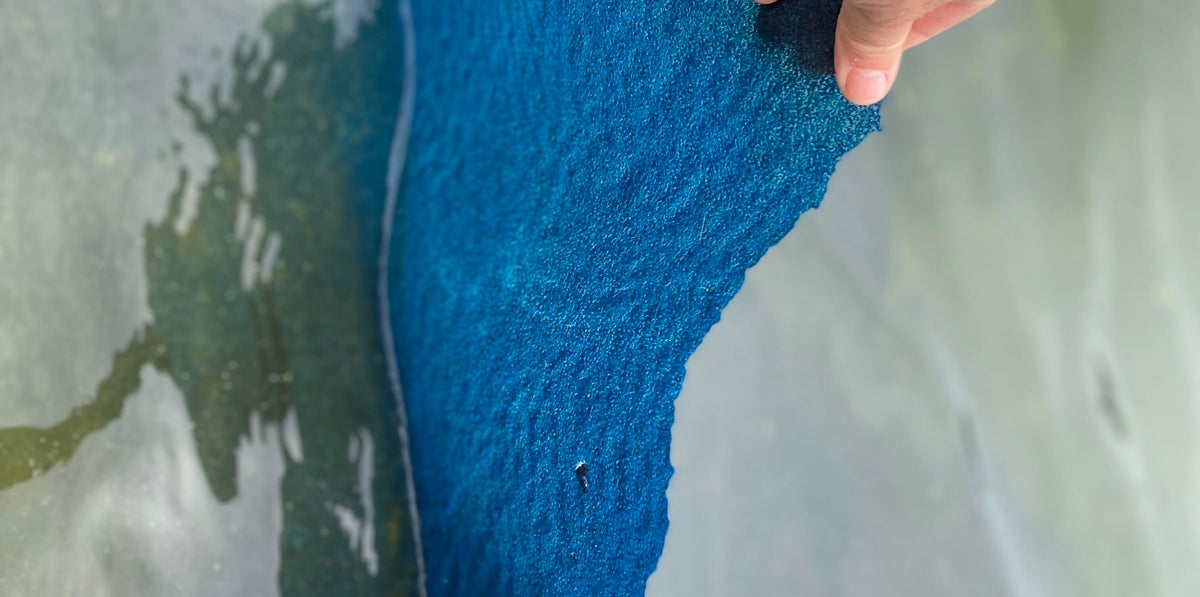 Trump's $14M reflecting pool paint job is now peeling off in chunks