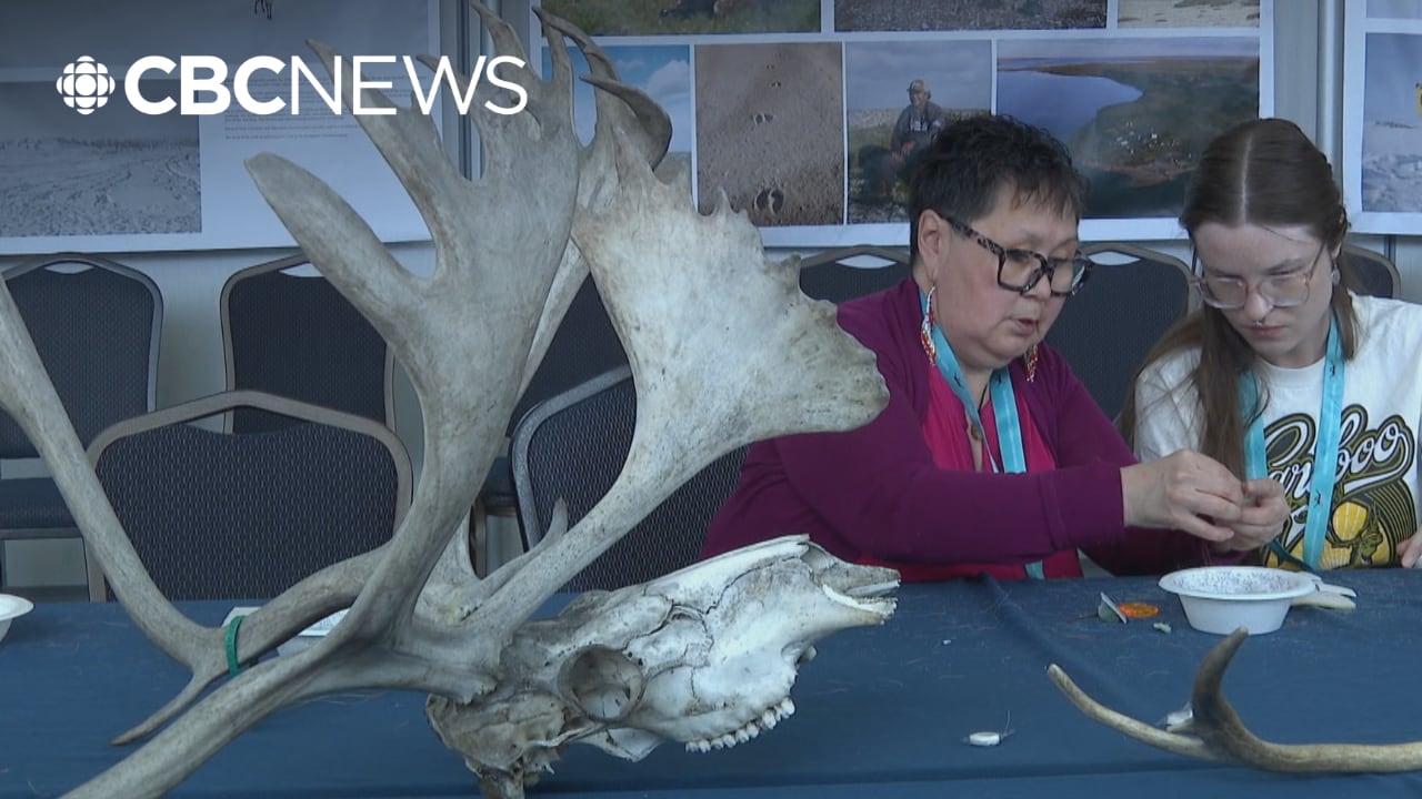North Ameican Caribou Conference co-chairs reflect on evolution of ...