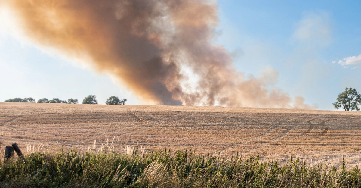 One dead as wildfires and severe tornadoes strike the US