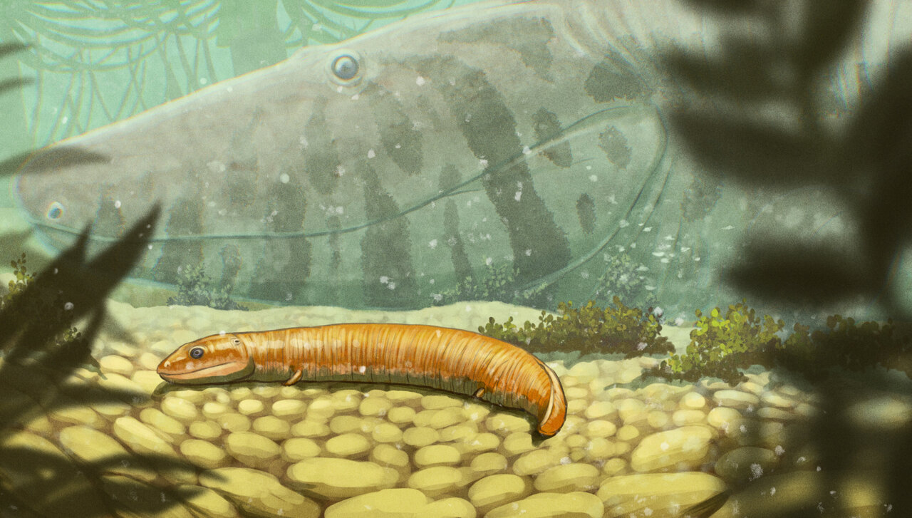 Fossilized babies of ancient crocodile-like predators uproot ...