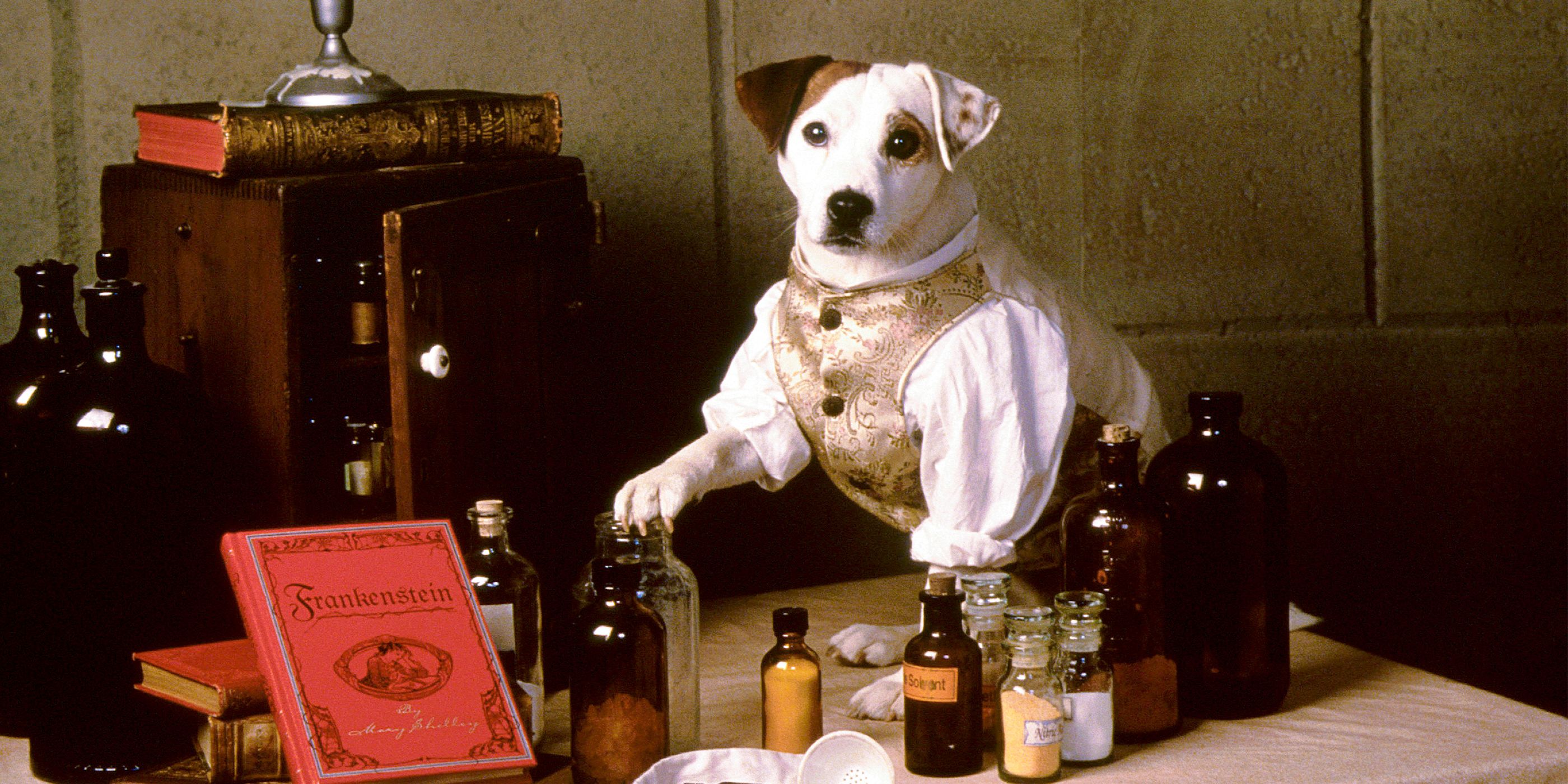 'Wishbone' officially comes to theaters for 30th anniversary event ...