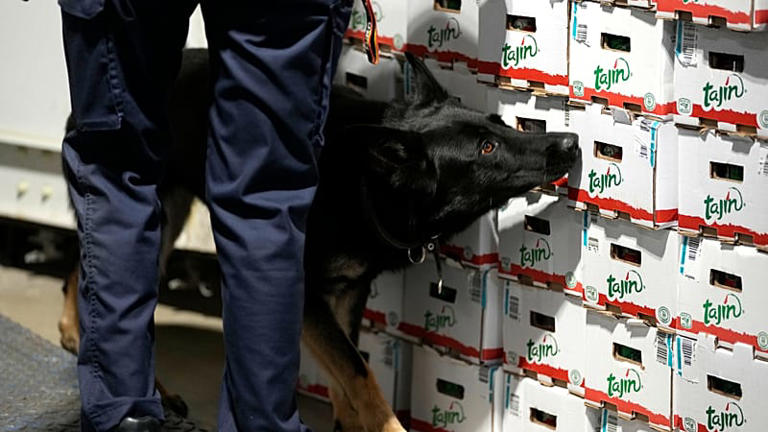 New health risks emerge as Europe’s drug market grows more complex, EU ...