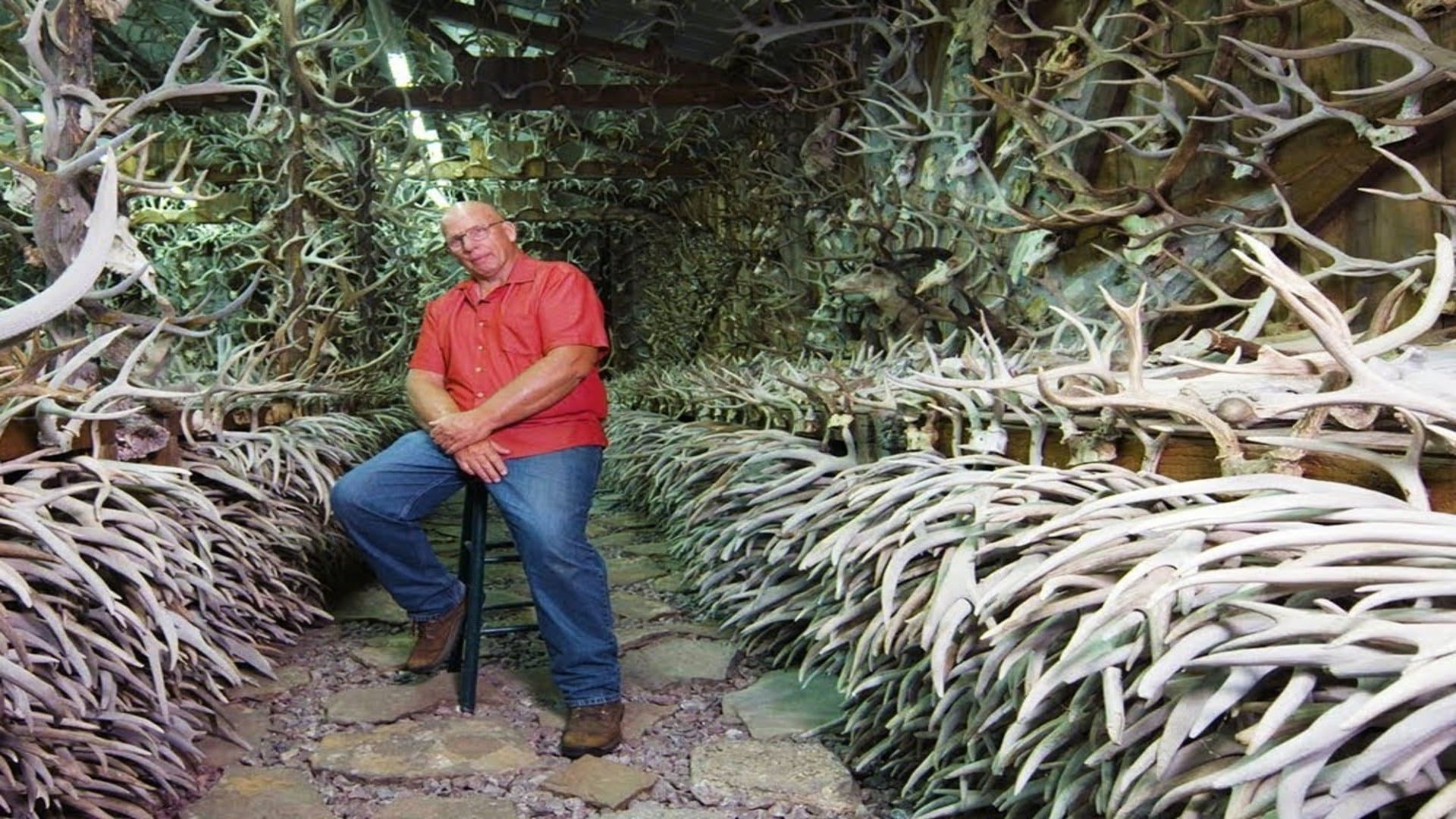 The antler man and his lifetime collection