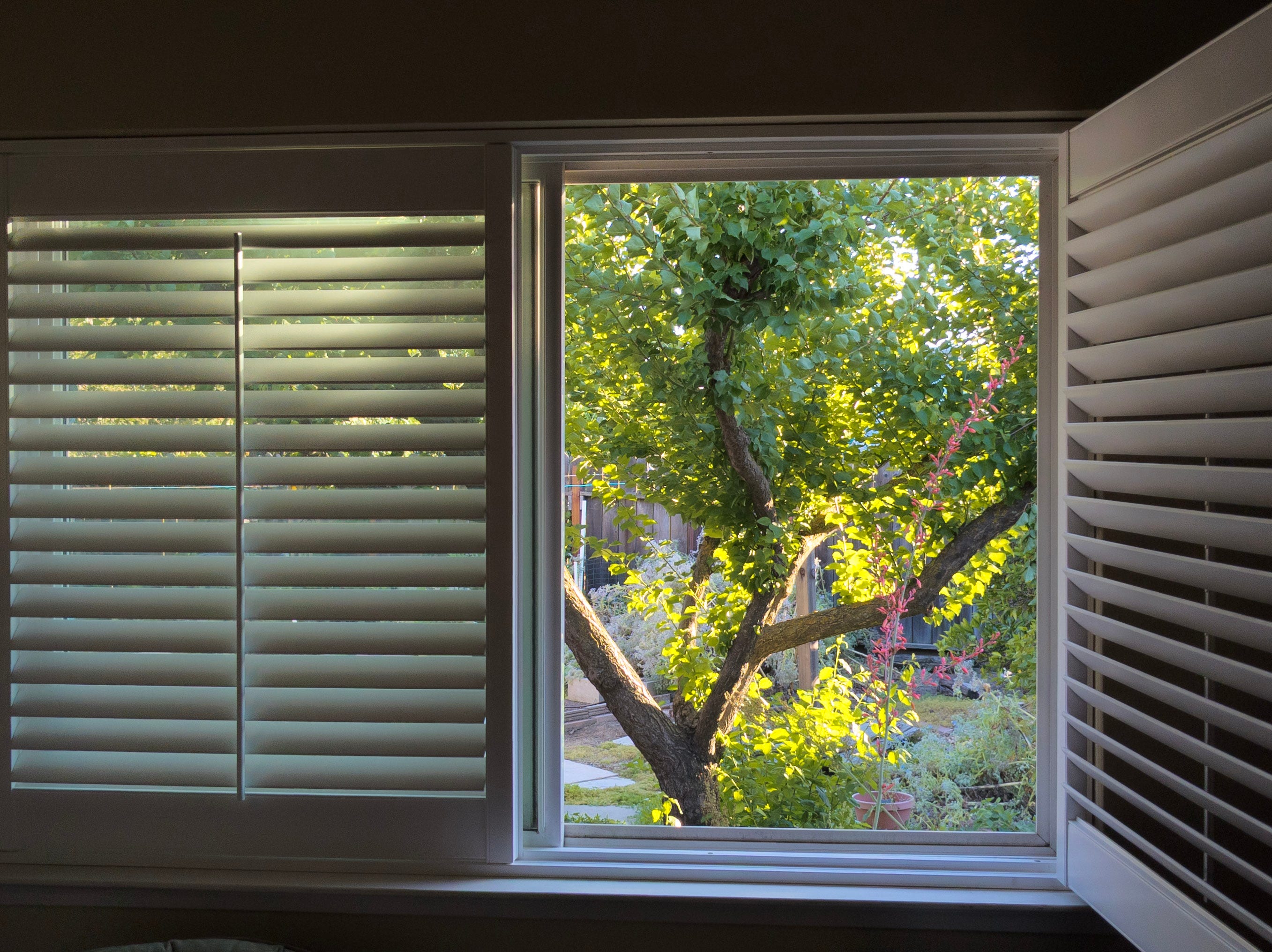 See the winning photos from our window challenge