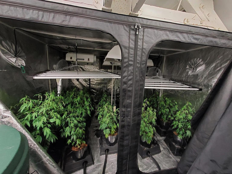 Police carry out drugs raid in Derbyshire town – seizing narcotics ...